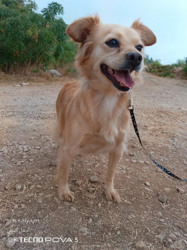 Najma, dolce meticcia Foto 4